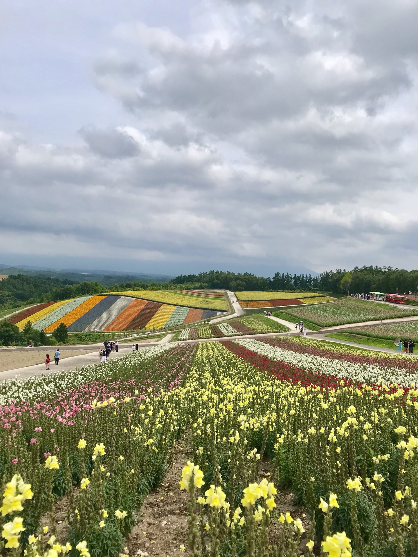 北海道自助遊攻略