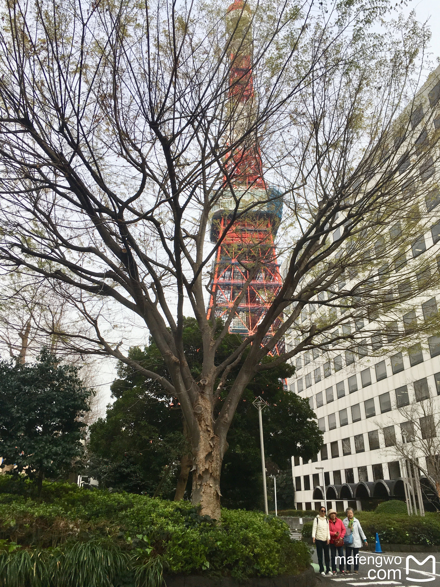 東京自助遊攻略