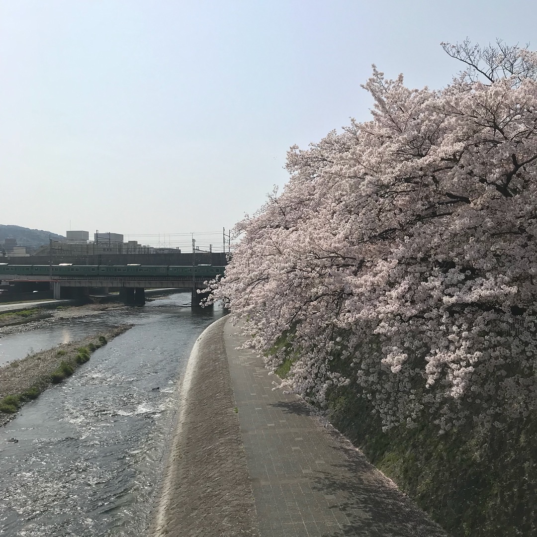 京都自助遊攻略