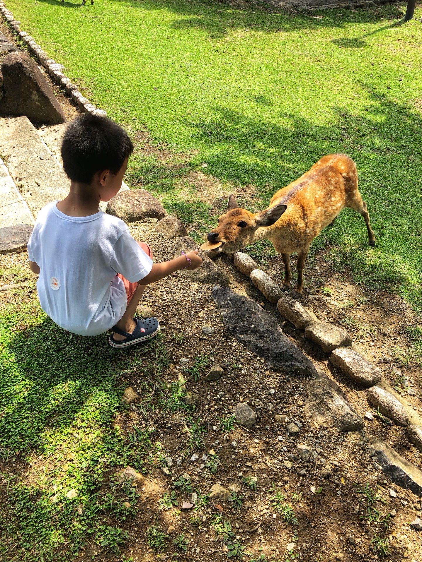 大阪自助遊攻略