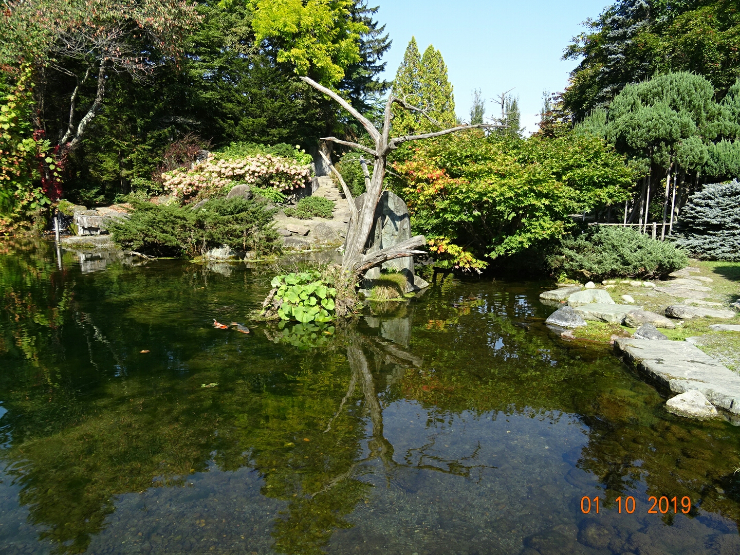 北海道自助遊攻略