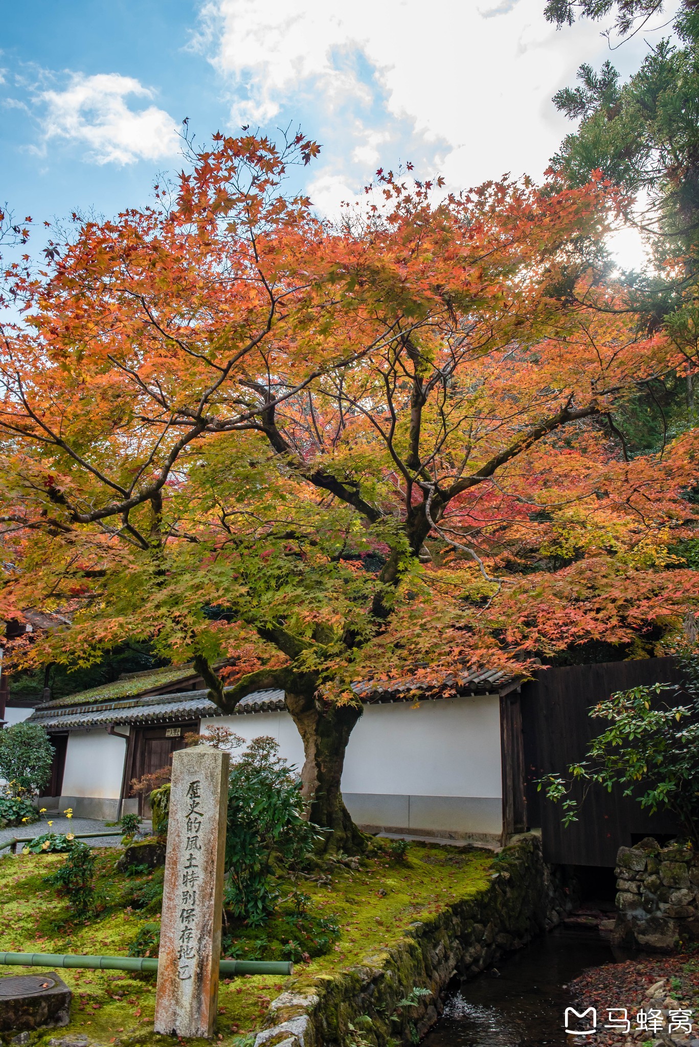 京都自助遊攻略