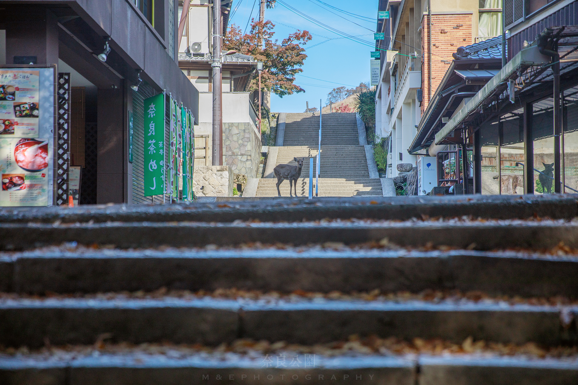 京都自助遊攻略