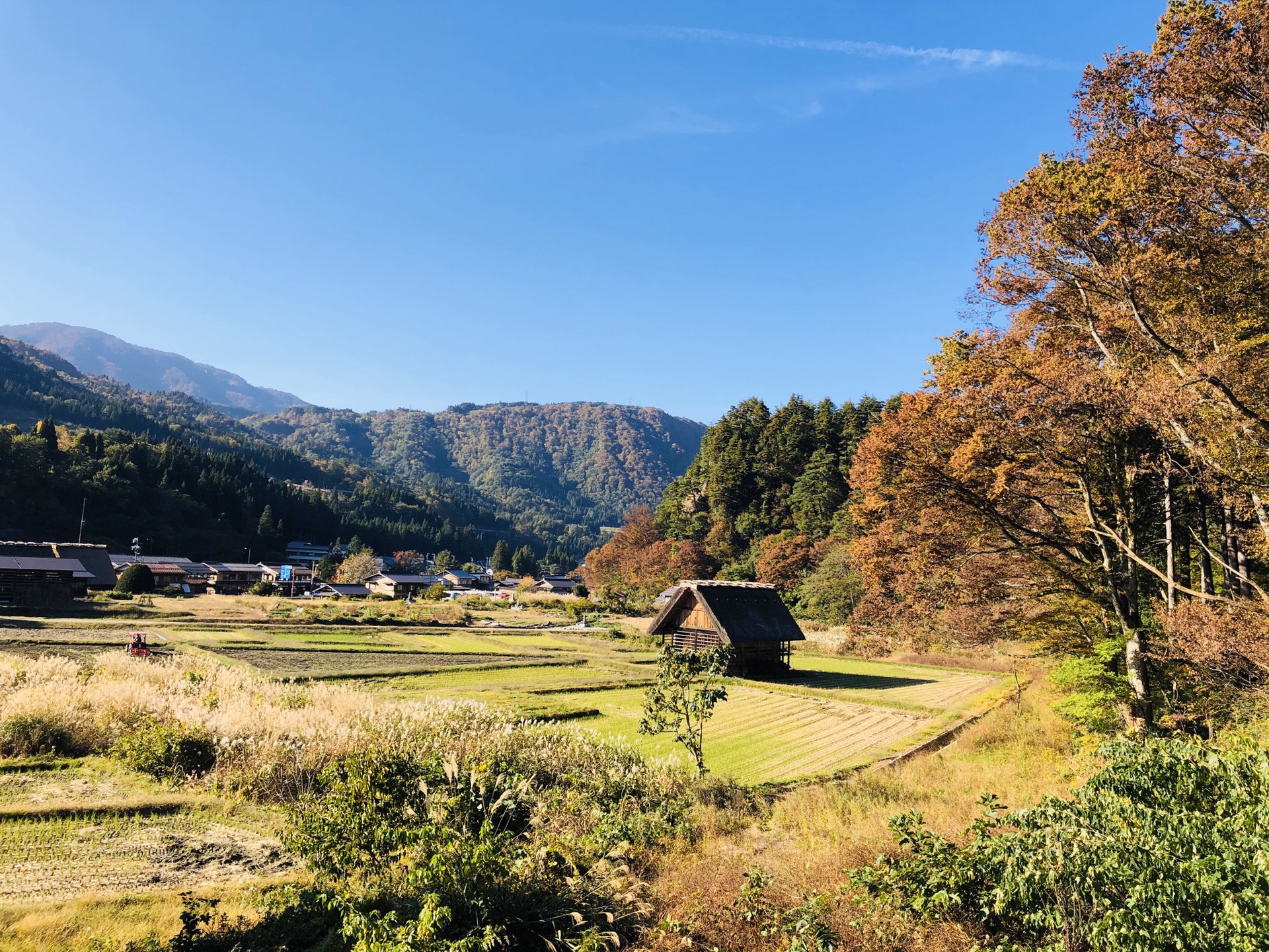 名古屋自助遊攻略