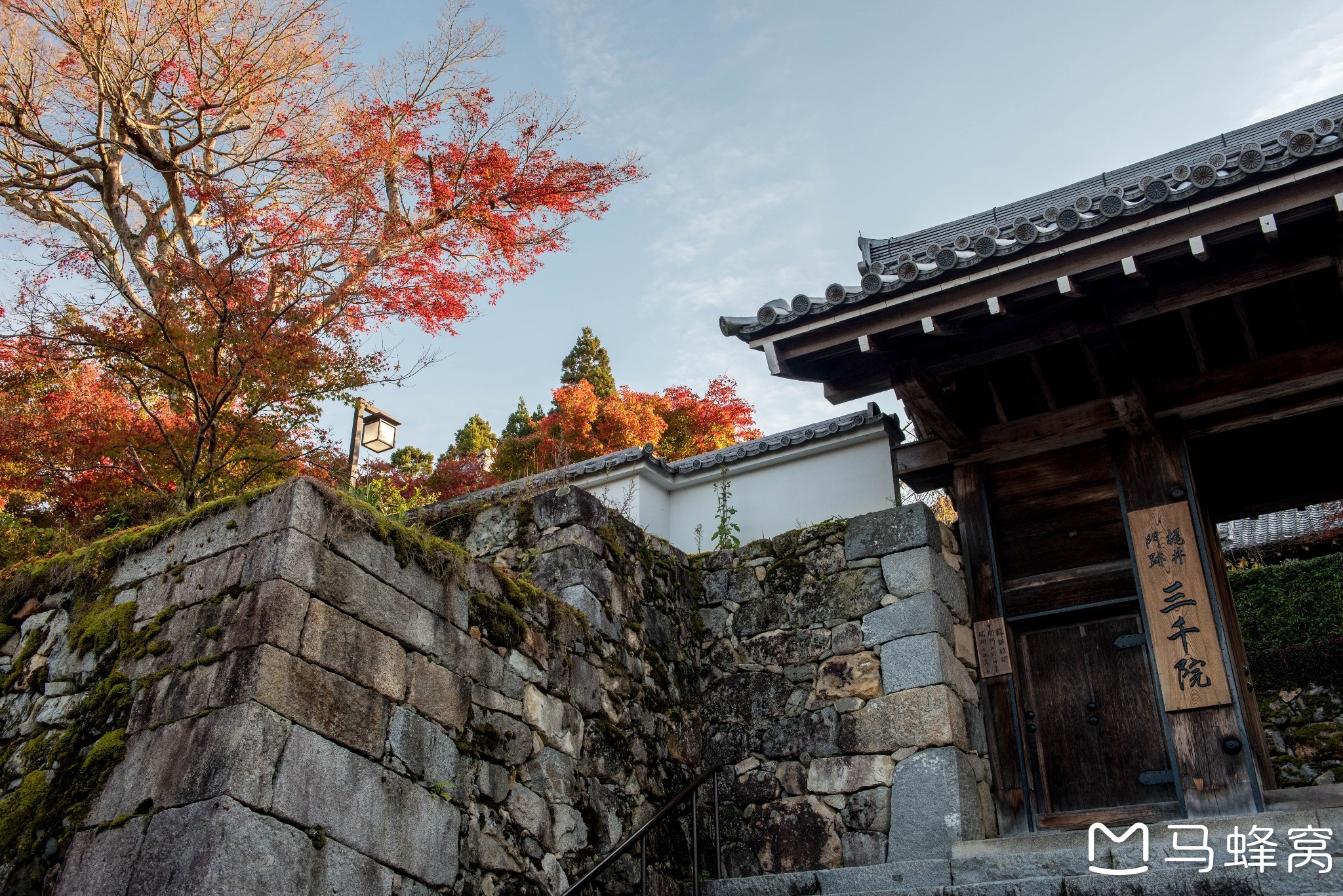 京都自助遊攻略