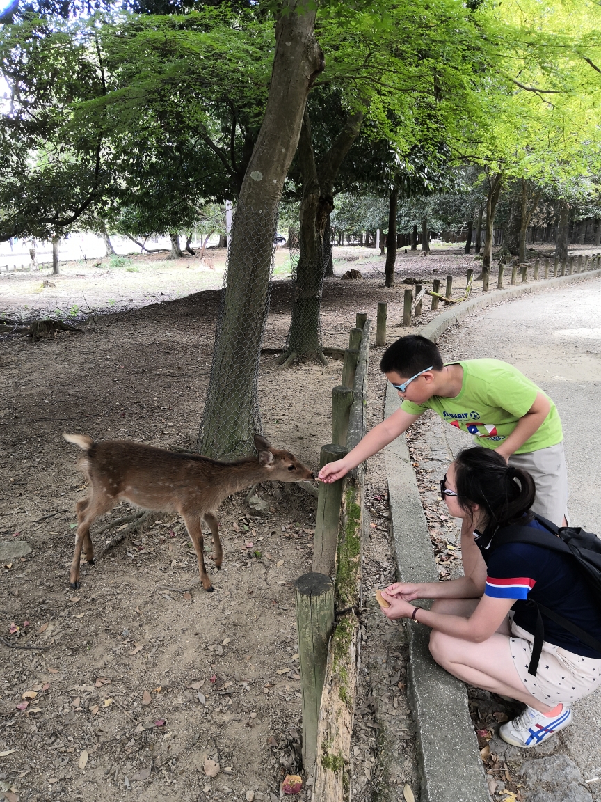 京都自助遊攻略