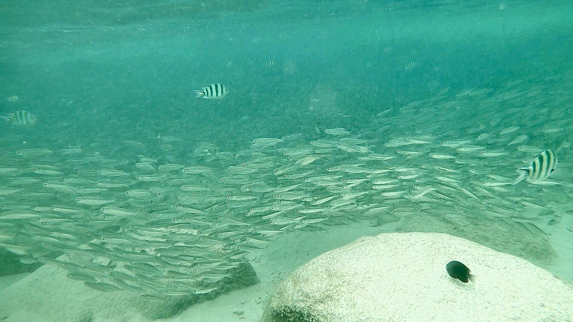 熱浪島自助遊攻略