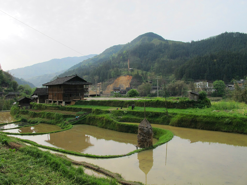 都柳江人口_三都都柳江医院