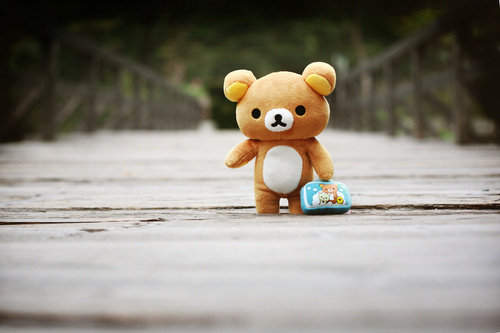 唯美的轻松可爱熊