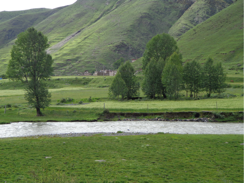 猜成语 黄叶 秋_看图猜成语(2)