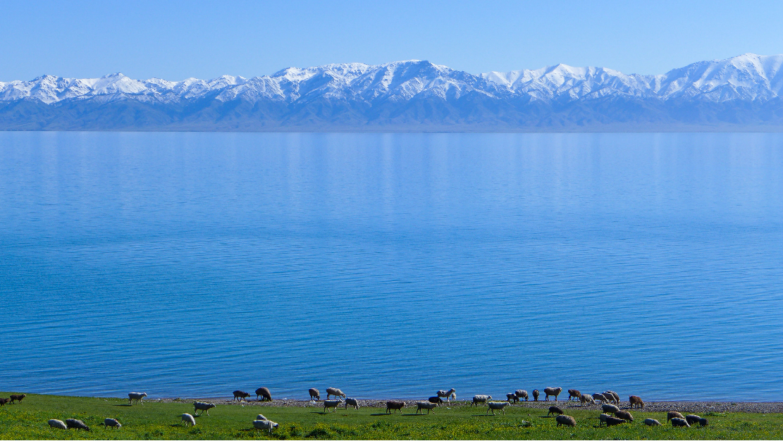 wKgB3FH8bF-Ad2EyAA-u9qOCSU075.jpeg?imageView2%2F2%2Fw%2F600%2Fq%2F90