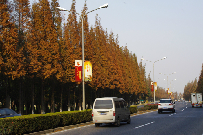 芦墟镇人口_芦墟信越聚合车间照片