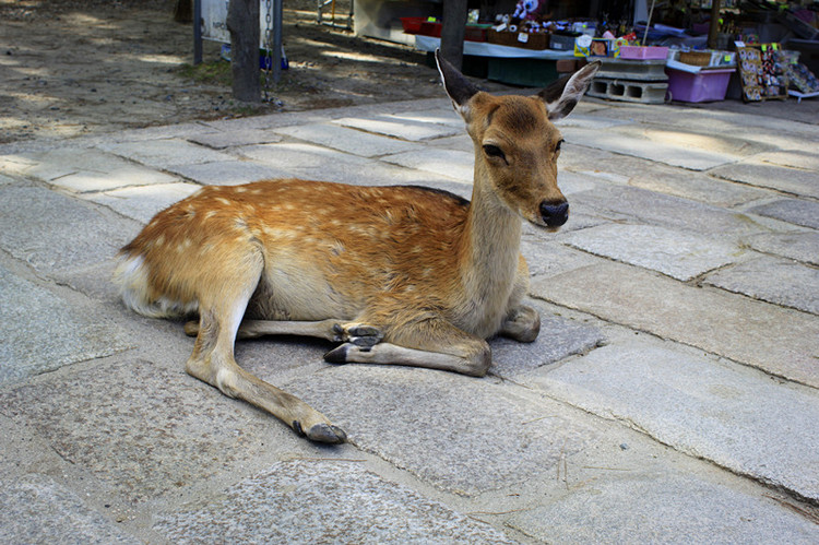 世界从古至今gdp_世界gdp排名2020