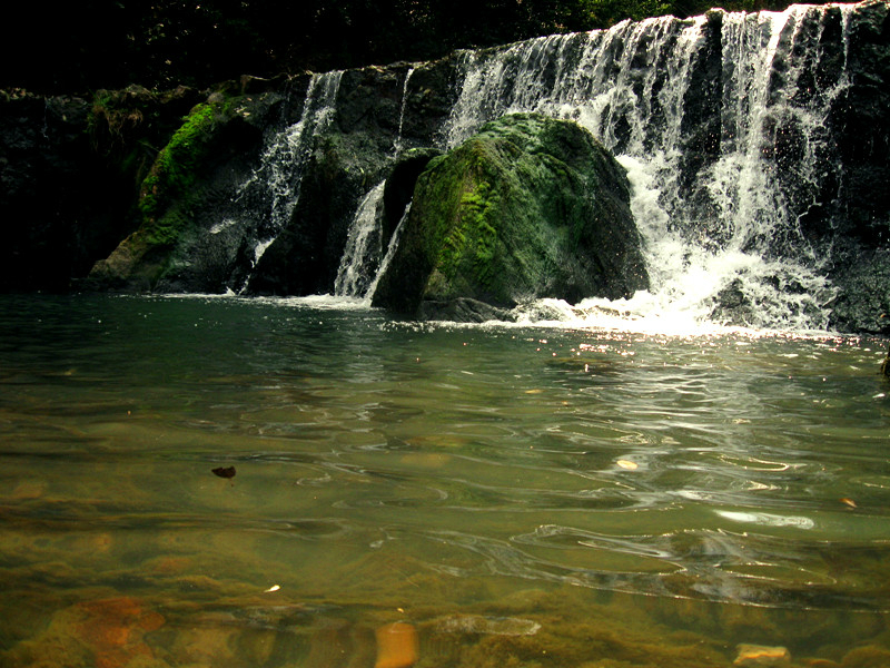 旅游活动对岩溶地下水水质动态变化的影响——以重庆金佛山水房泉为例