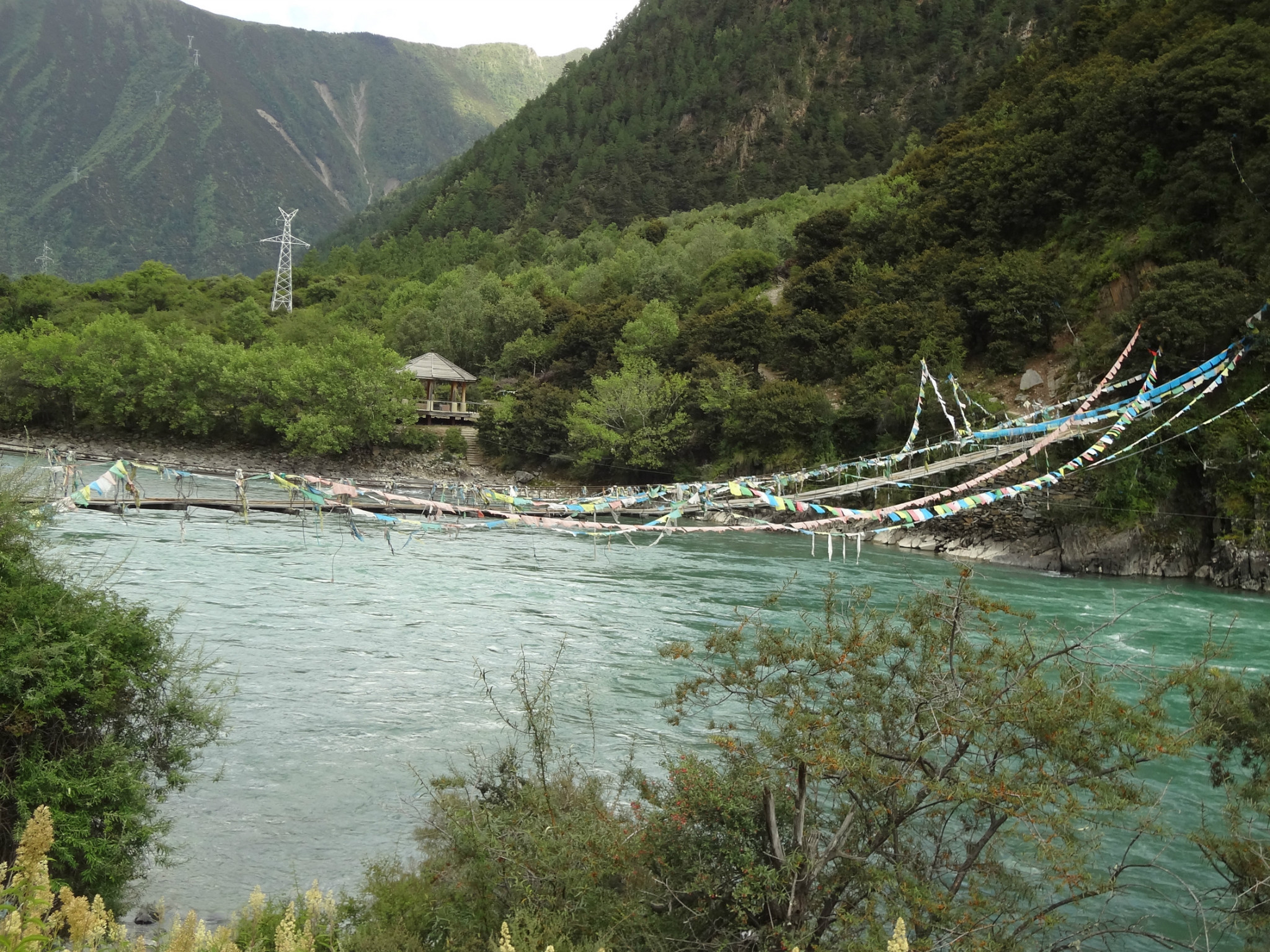 丁沟人口_丁沟中学校徽(2)