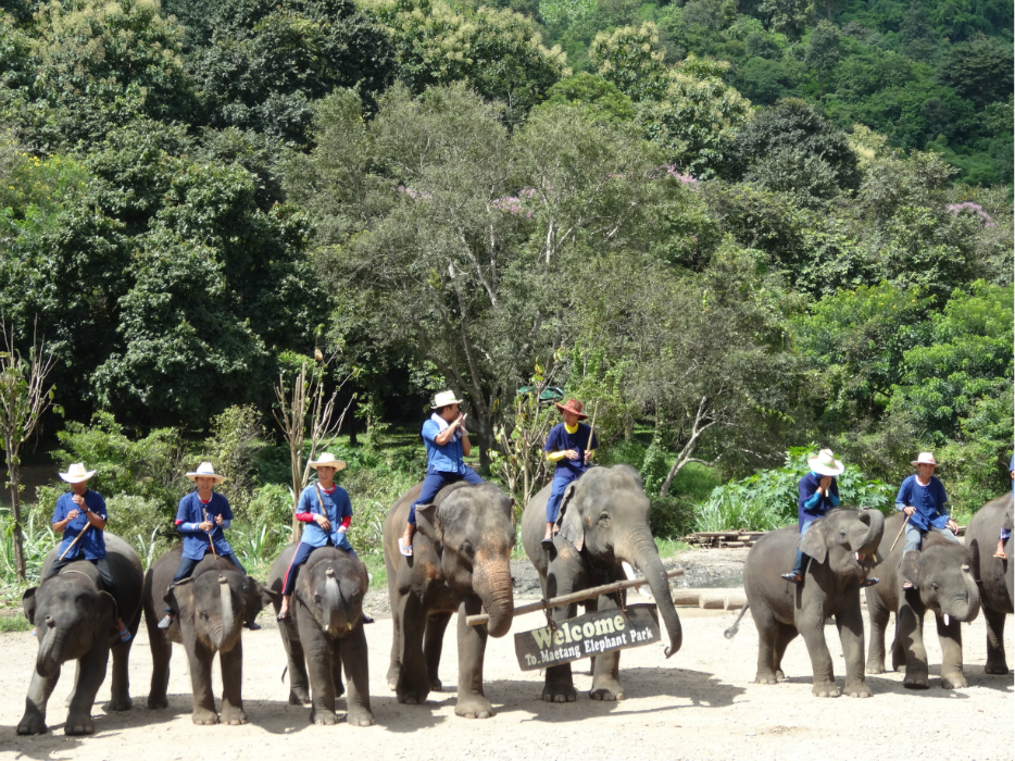 wKgB4lI_GBGAW-5iAA-YFITq5II70.jpeg?imageView2%2F2%2Fw%2F600%2Fq%2F90