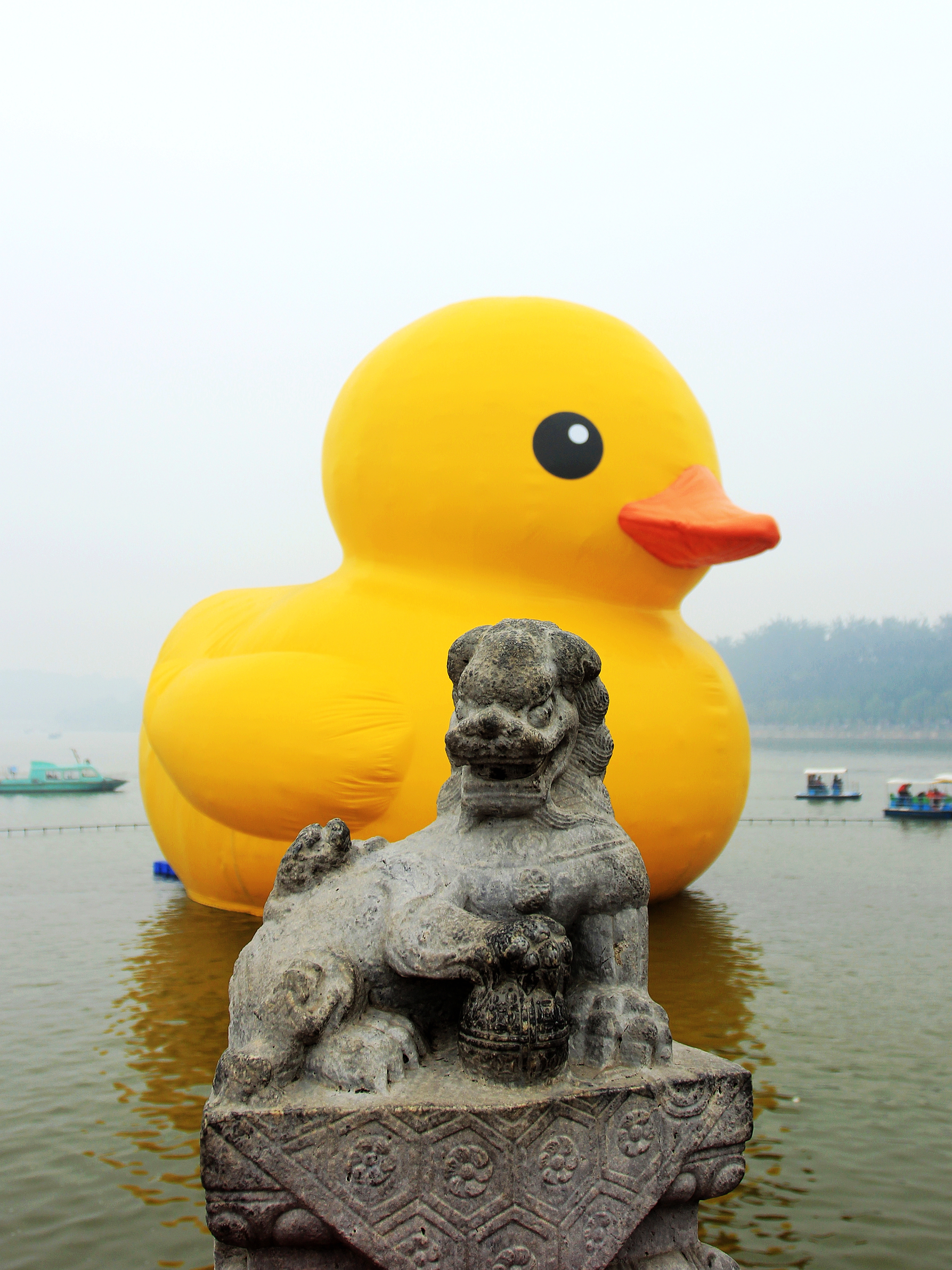 大黄鸭子,周末总是爆棚,最后一眼.