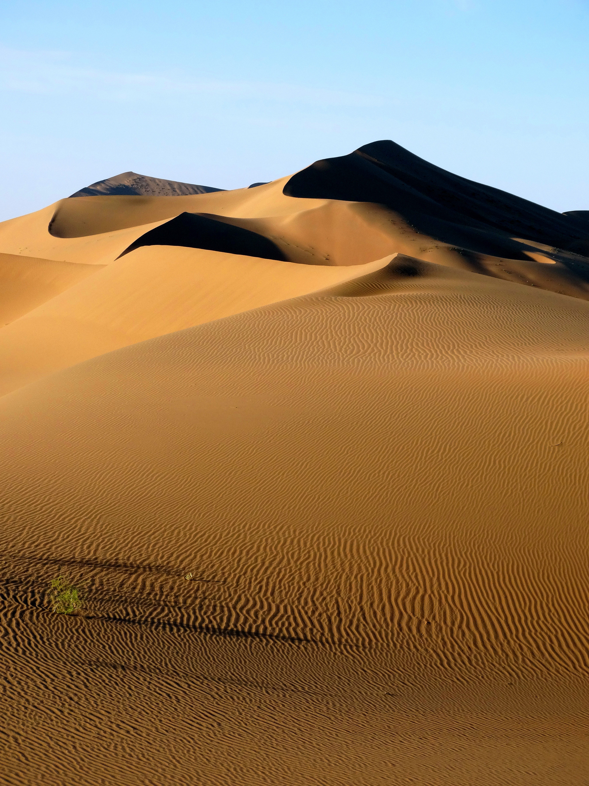 巴丹吉林沙漠景区图片