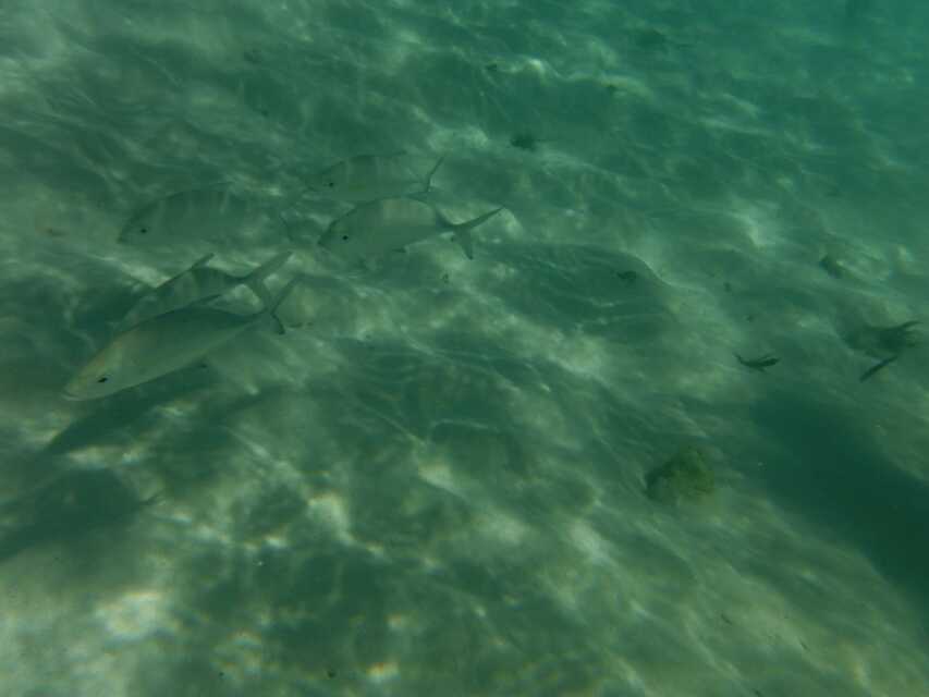 wKgB4lJ-LzSAVZ1bAABjGRpCeZ023.jpeg?imageView2%2F2%2Fw%2F600%2Fq%2F90%7CimageMogr2%2Fstrip%2Fquality%2F90