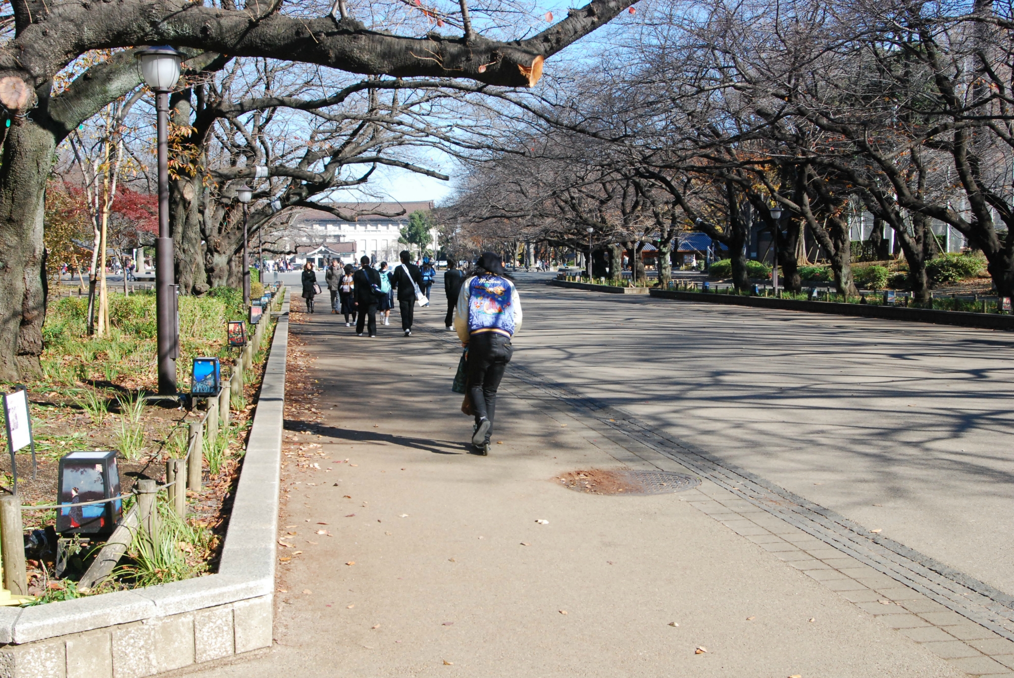 東京自助遊攻略