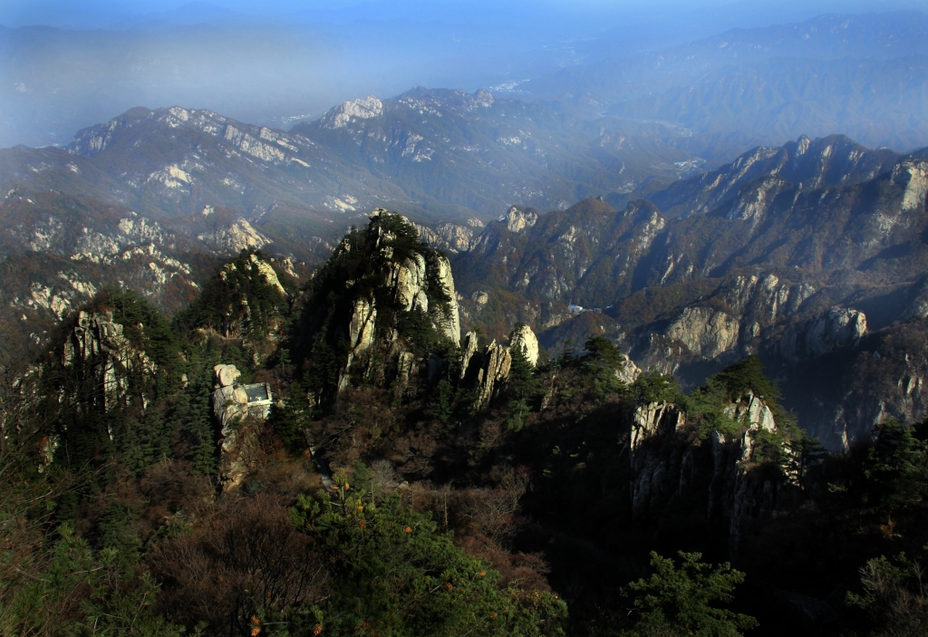 山东鲁山 马蜂窝