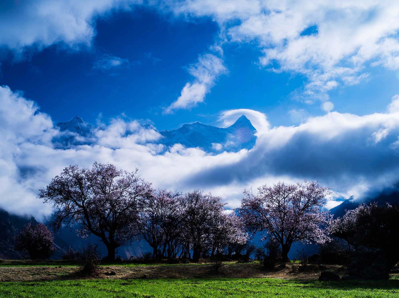喜欢   @cd淡墨 喜欢你的这张#精美照片#,来自游记《林芝桃花盛开时