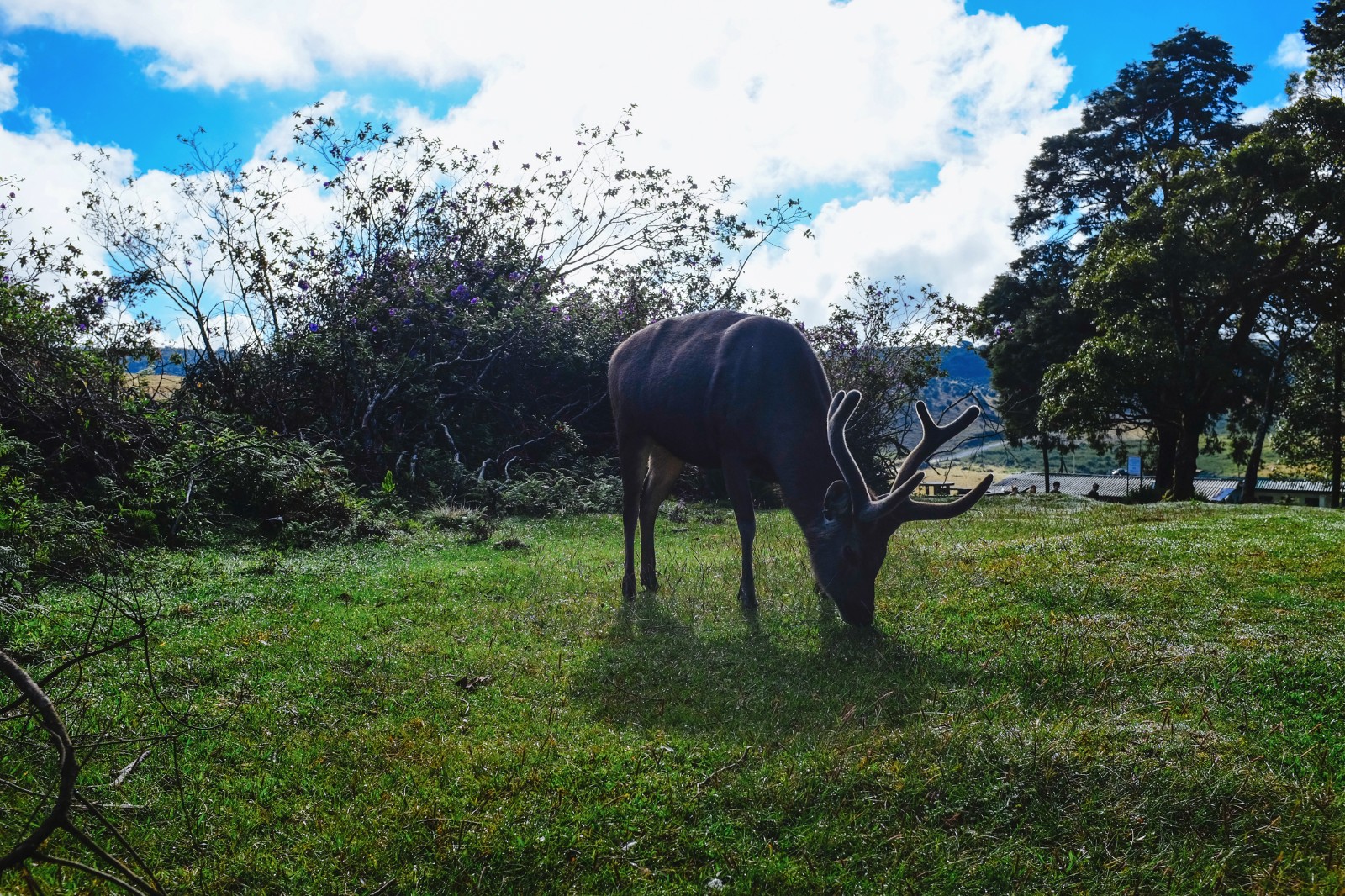 十一,逃离喧嚣,十二天行走斯里兰卡