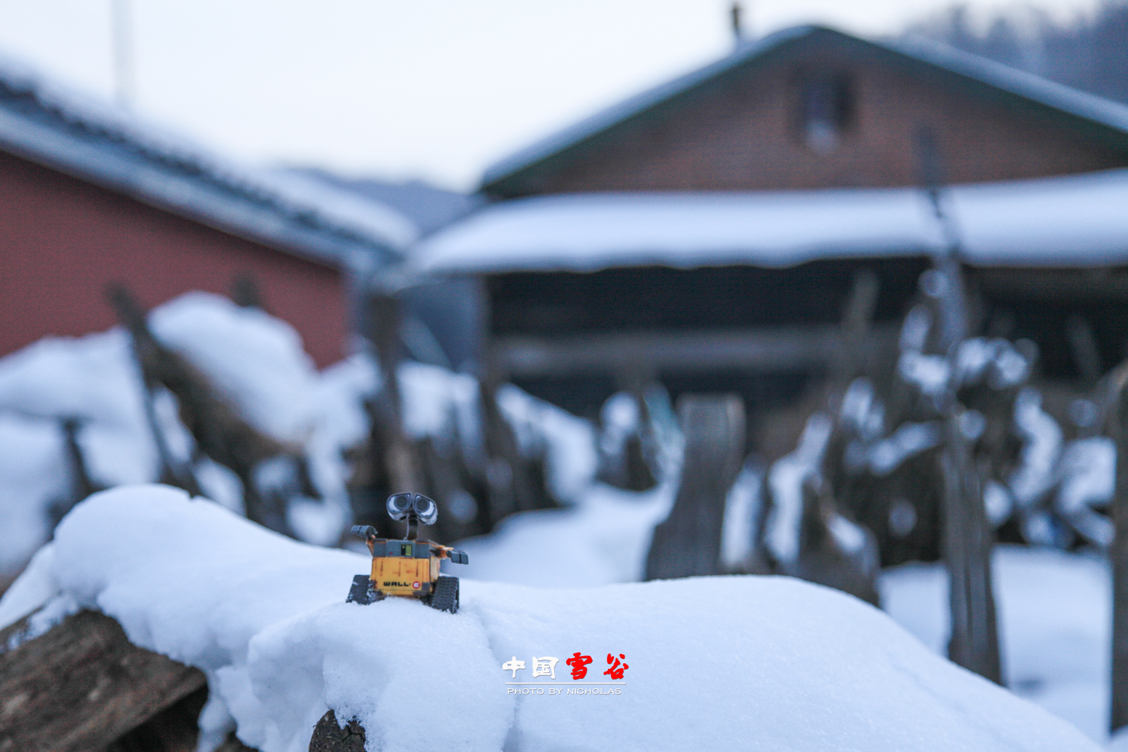 雪鄉自助遊攻略