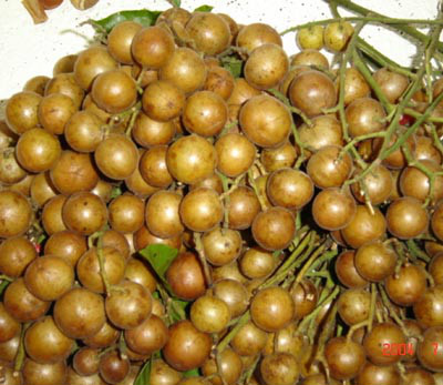 wKgB6lPypxqAaBGIAAF-qv1fgYY59.jpeg?imageView2%2F2%2Fw%2F600%2Fq%2F90