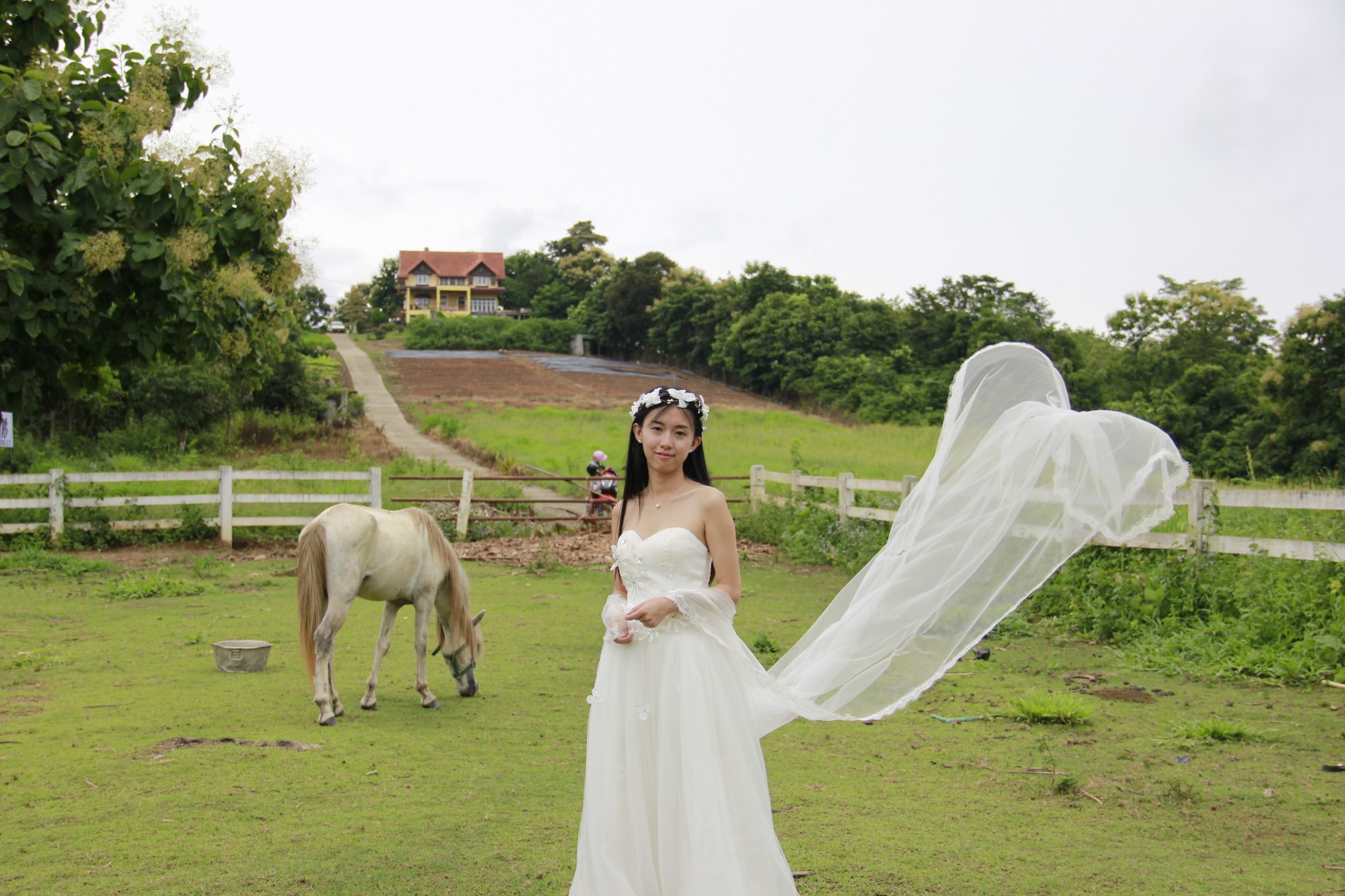 小雨拍婚纱_小雨图片(2)