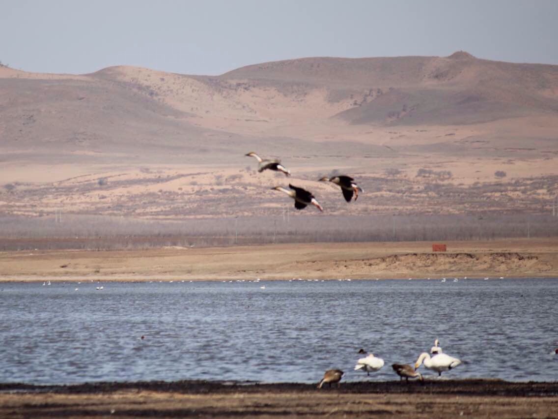 常熟到正蓝旗旅游