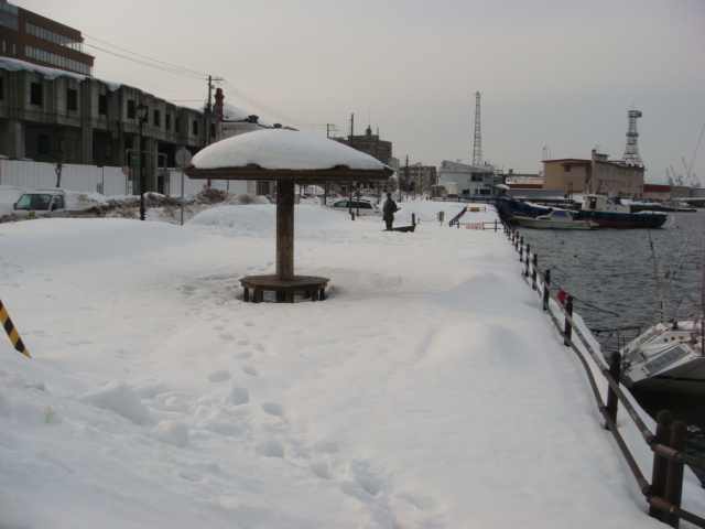 北海道自助遊攻略