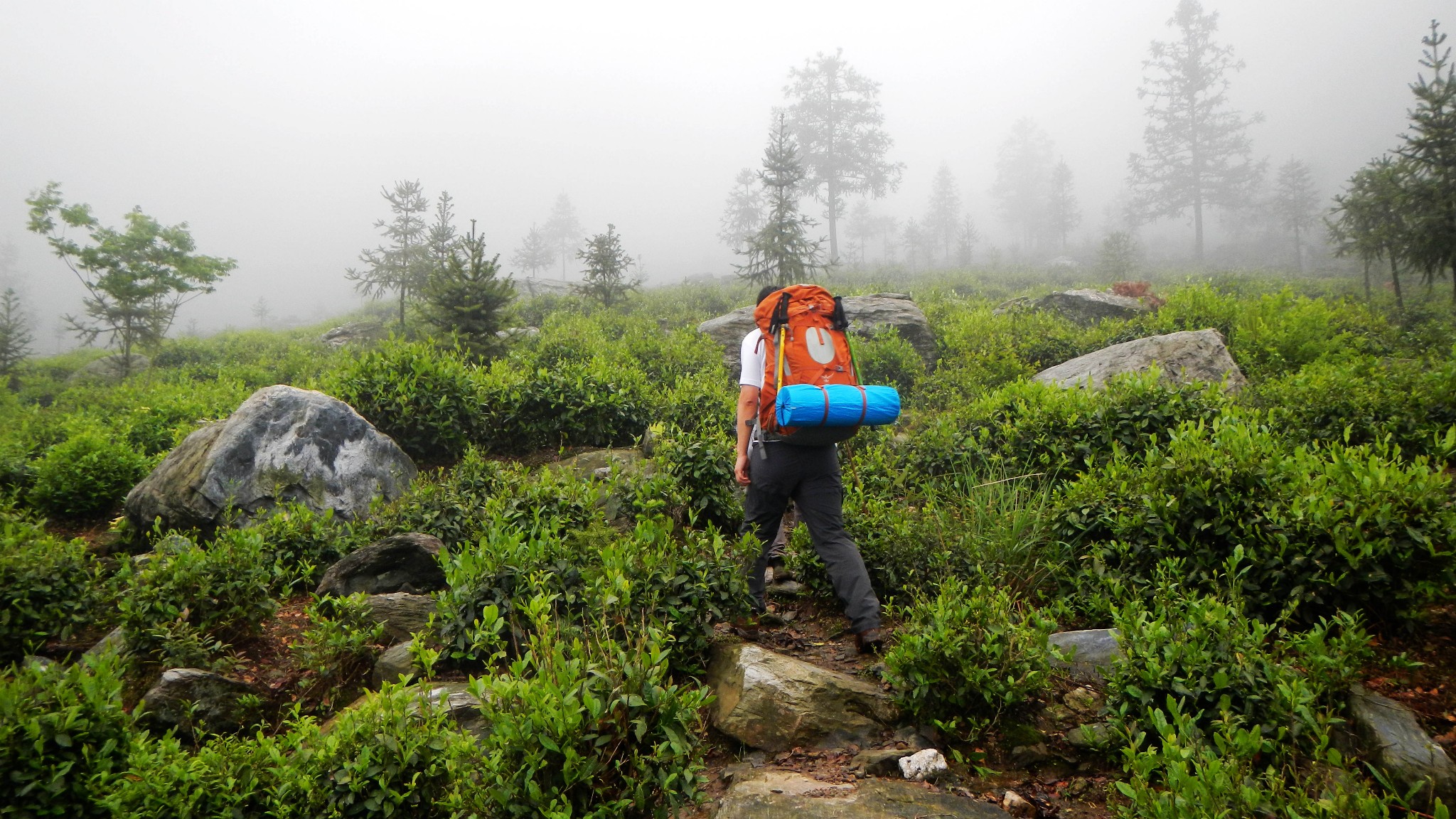 牯牛降徒步穿越图片51,牯牛降旅游景点,风景名胜 - 马蜂窝图库 - 马
