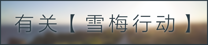 有关【雪梅行动】 有关【雪梅行动】