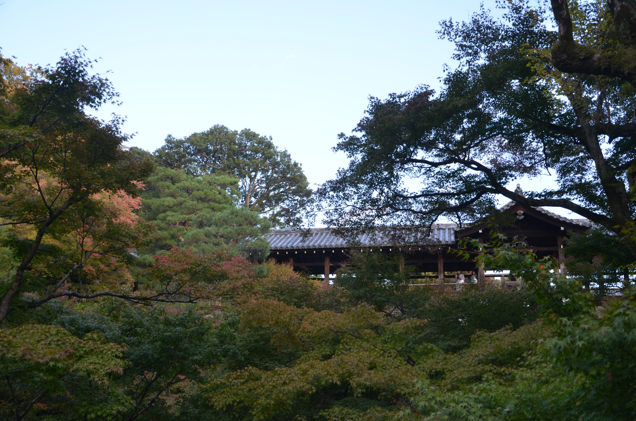 京都自助遊攻略