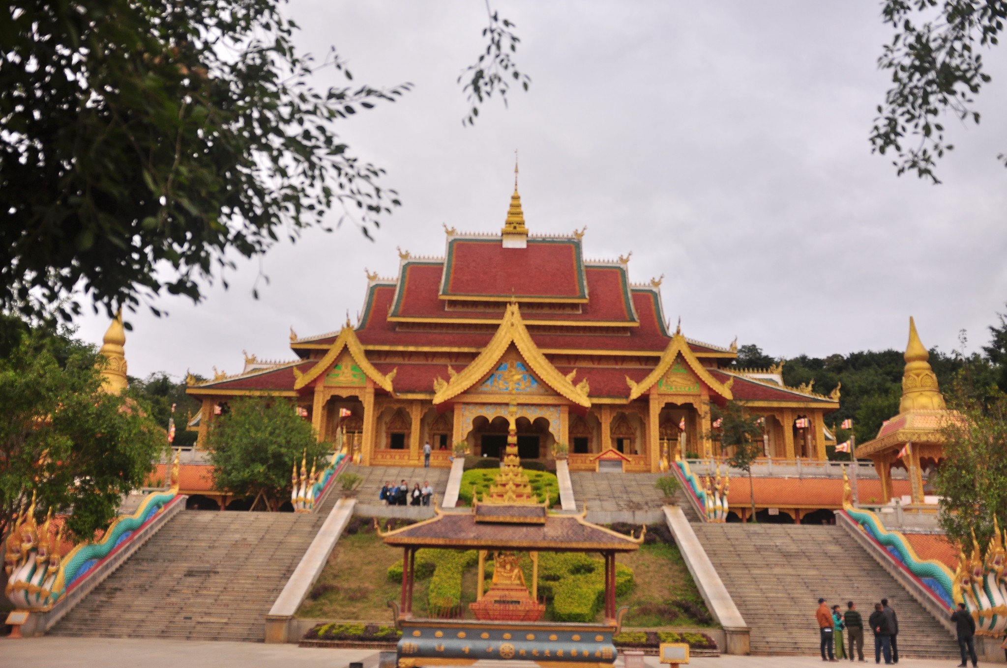 【图片】#蜂首纪念# 西双版纳:景洪----勐腊----勐海 避.