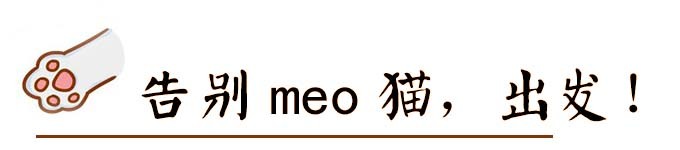 告别meo猫,出发! 告别meo猫,出发!