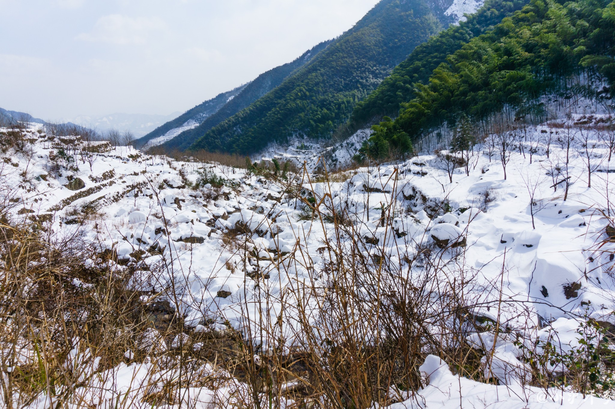 【图片】临安三尖—风雪百丈岭