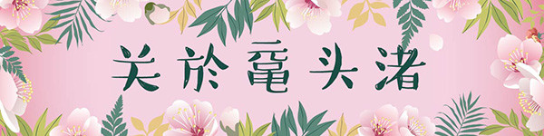 关于鼋头渚 关于鼋头渚