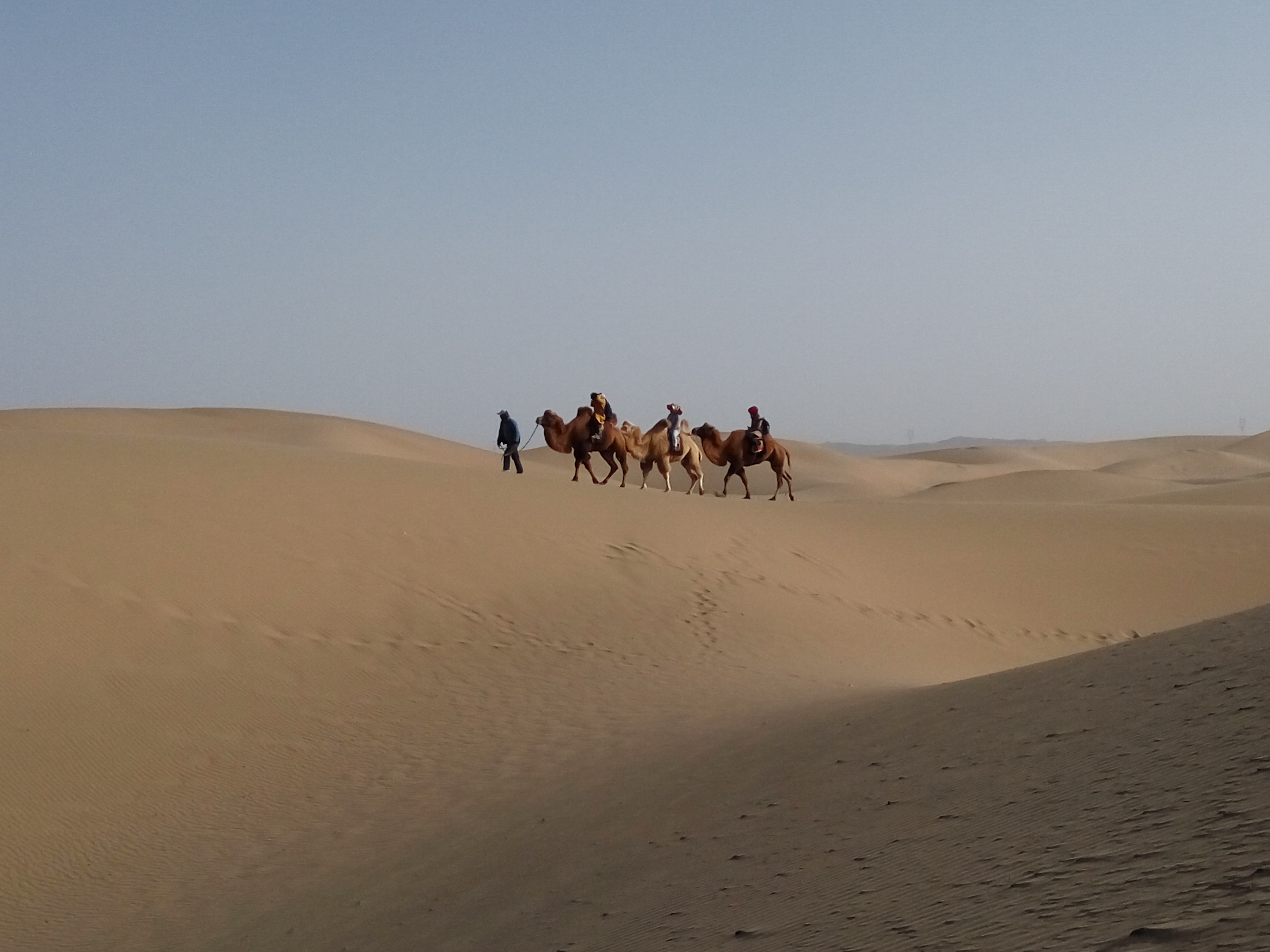 阿拉善左旗到银川飞机场怎么去?