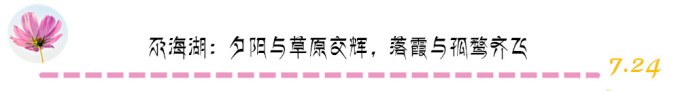 尕海湖:夕阳与草原交辉,落霞与孤鹜齐飞 尕海湖:夕阳与草原交辉,落霞与孤鹜齐飞