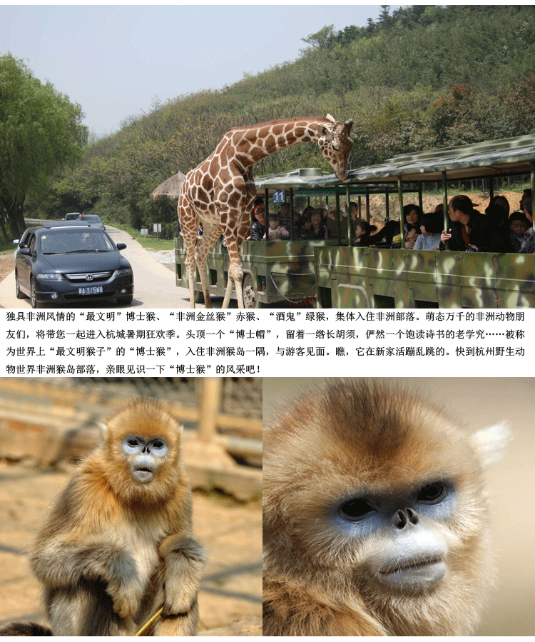 【免排隊快速入園】浙江杭州富陽野生動物園門票 電子票 提前一天以上