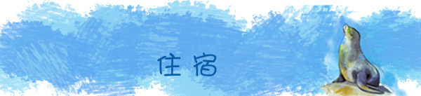 住宿 住宿
