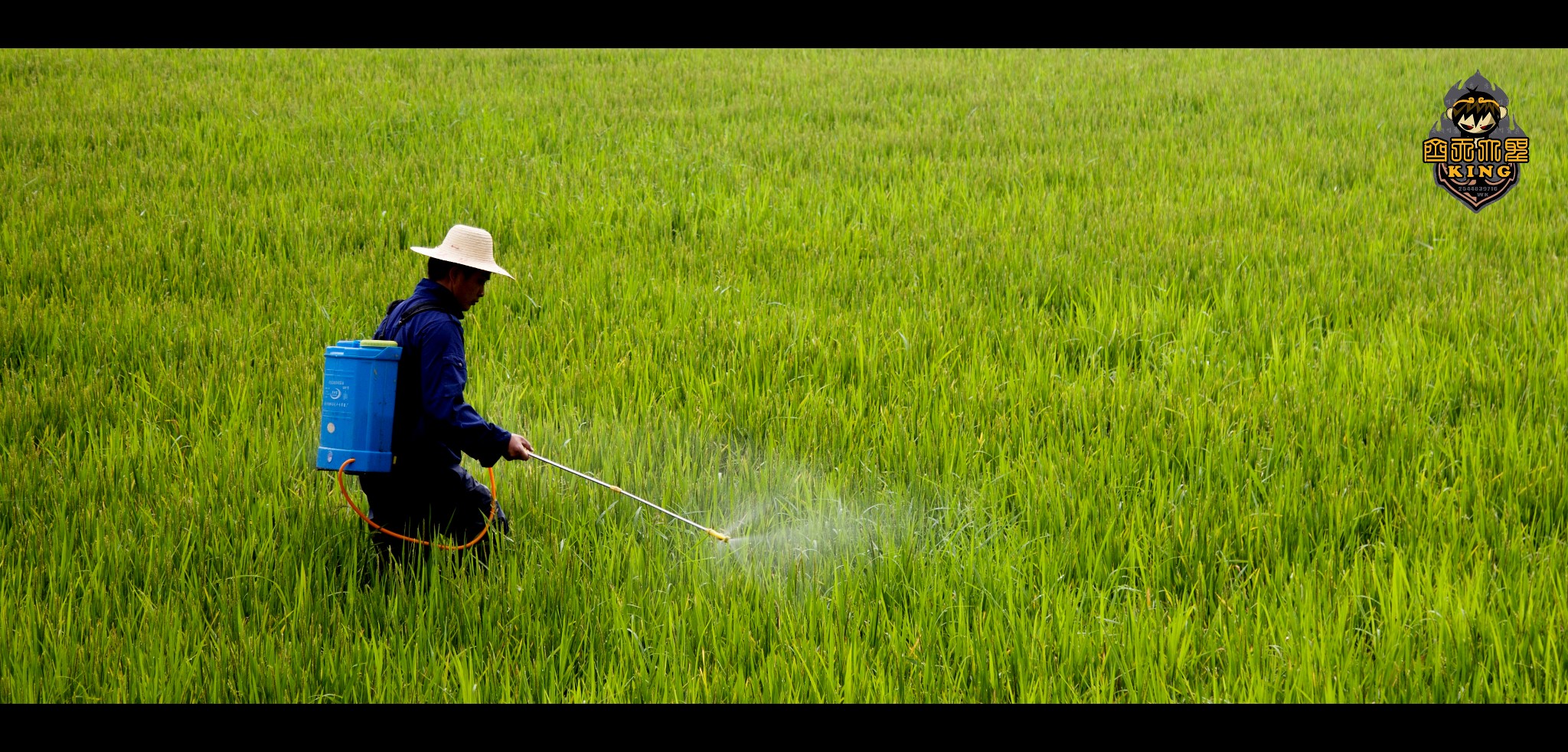 宁乡市2020年一季度g_宁乡市地图
