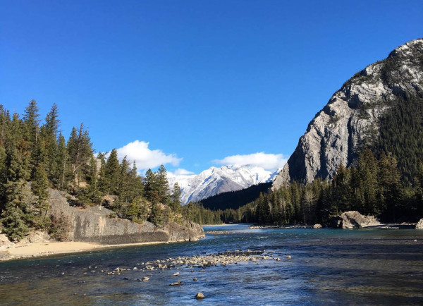 持F1 visa办理加拿大旅游签证~最新~超详细~攻