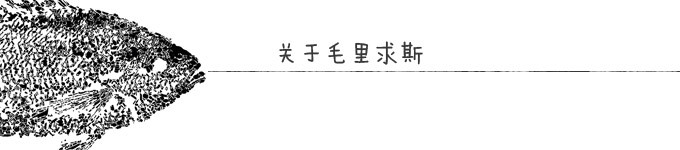 关于毛里求斯 关于毛里求斯