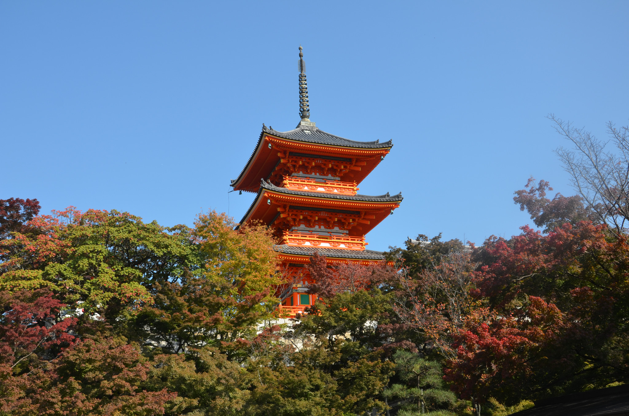 京都自助遊攻略