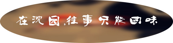 沈园之夜,往事只能回味 沈园之夜,往事只能回味