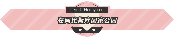 在阿比斯库国家公园 在阿比斯库国家公园