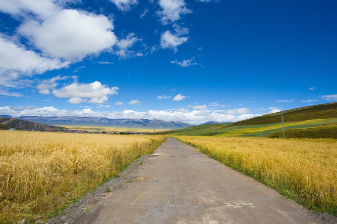 听说青海湖关闭了,沿线的房源很紧张,请问真的